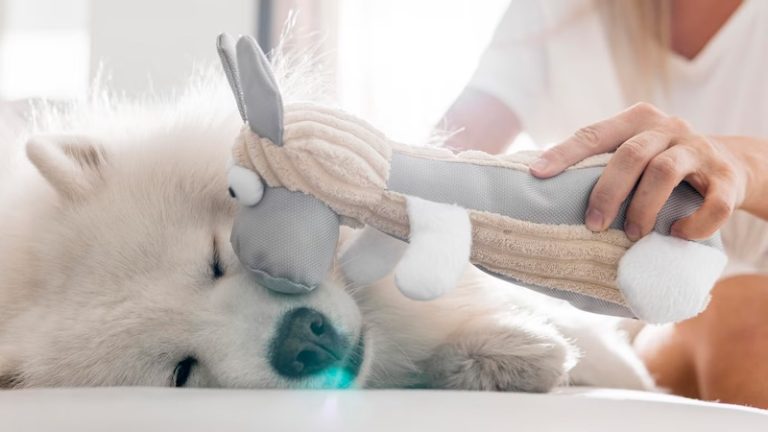 De 5 Beste Honden Knuffels Met Hartslag van 2026