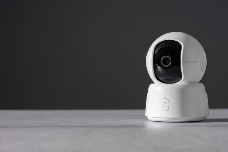 De 5 Beste Hondencamera’s van 2026