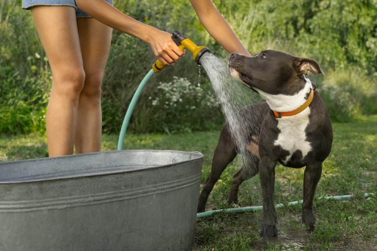 De 6 Beste Waterblazers Hond van 2026