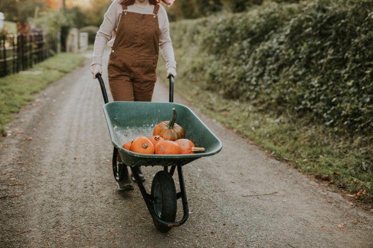 De 6 Beste Opvouwbare Bolderkarren van 2026