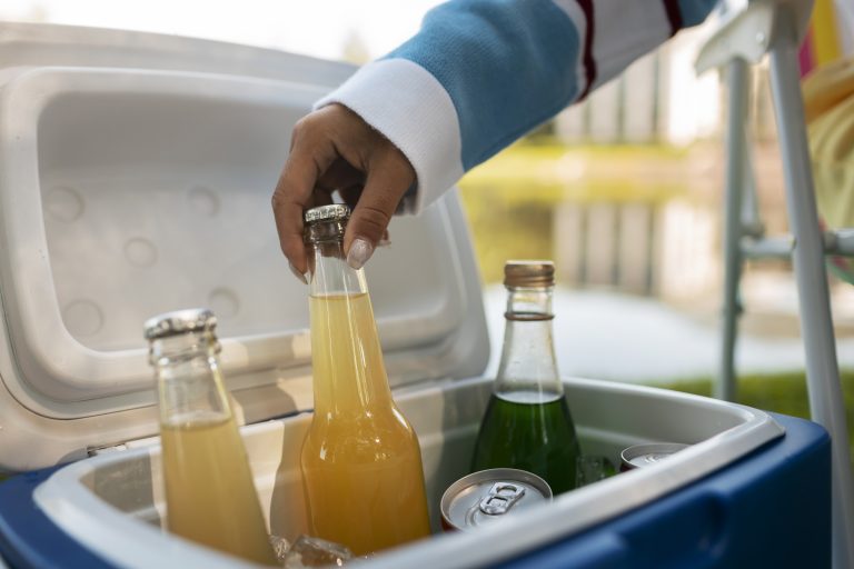 De 5 Beste Elektrische Koelboxen van 2026