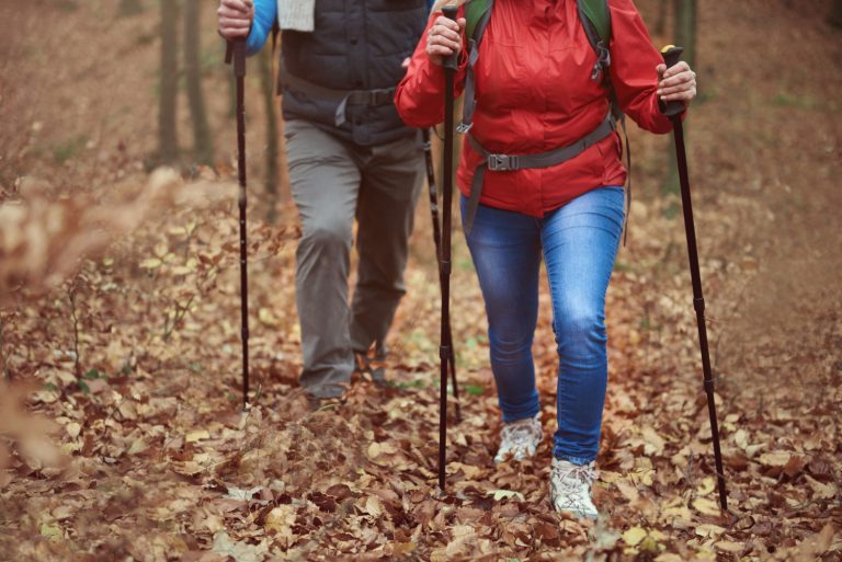 De 6 Beste Nordic Walking Stokken van 2026
