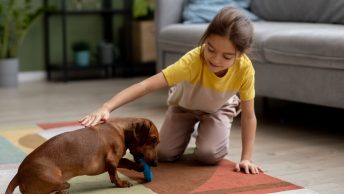 Beste Hondenplasmatten