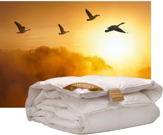 isleep gold ganzendons
