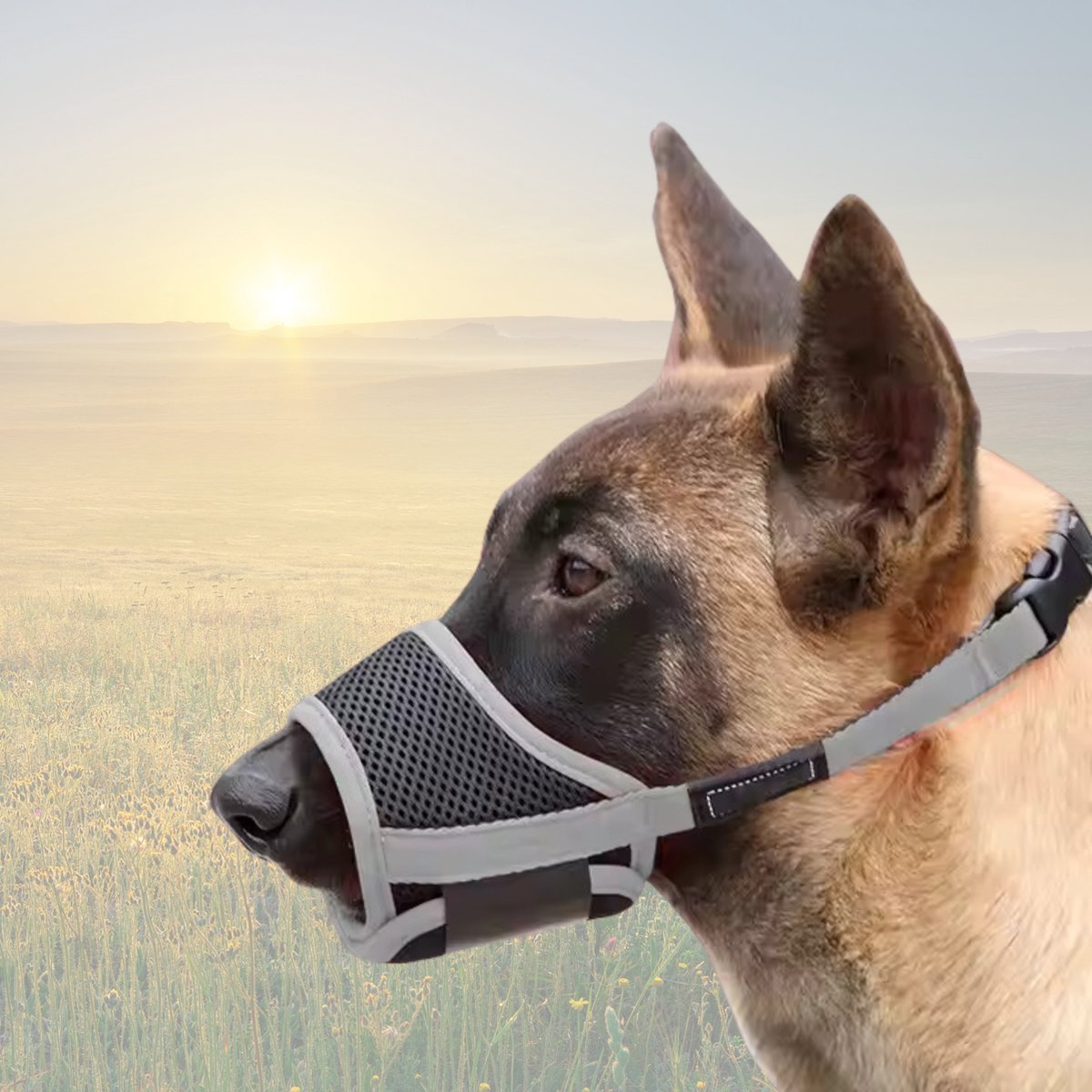 4Paw Muilkorf Grote Hond Maat XL