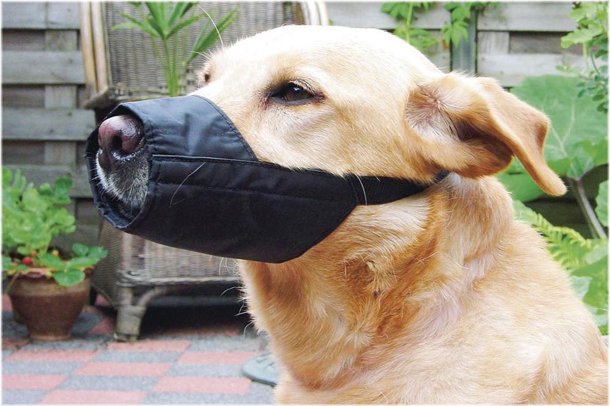 Beeztees Veiligheidsmuilband Hond Maat L